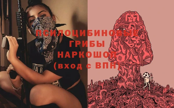 тгк Волосово