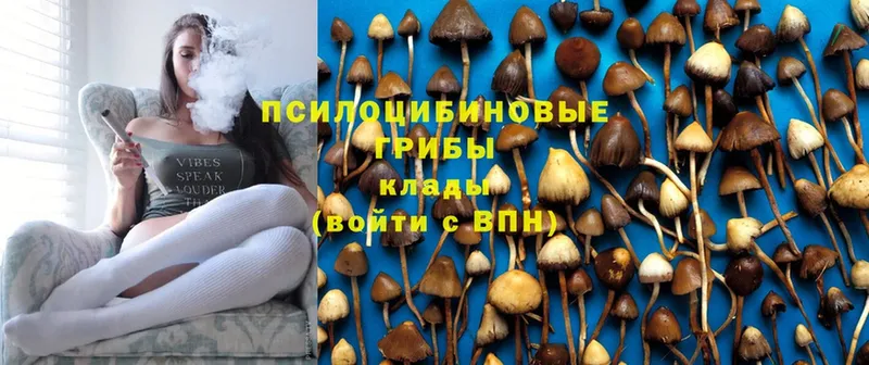 Галлюциногенные грибы MAGIC MUSHROOMS  кракен рабочий сайт  Анапа 